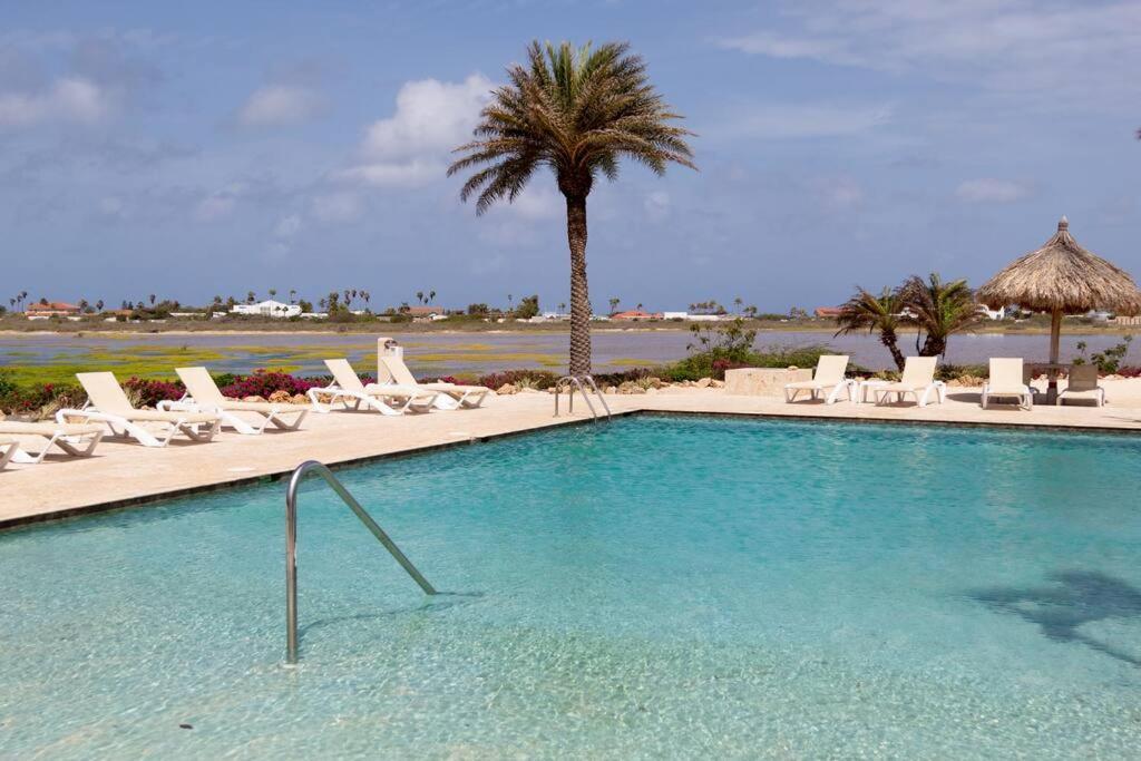 New! Cozy 1 Bedroom Condo- Gold Coast, Noord Aruba Palm Beach Extérieur photo